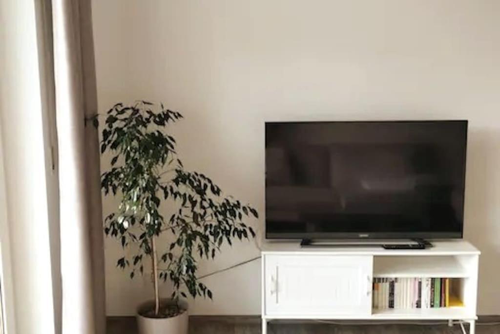 Ferienwohnung Zur Dicken Berta ولفغ المظهر الخارجي الصورة